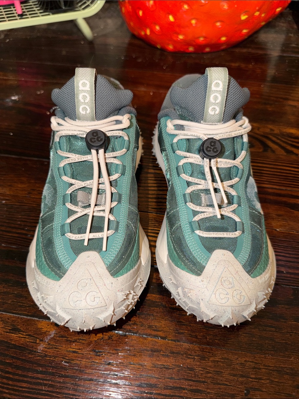 Nike ACG Kids Teal and Gray Toggle Trail Sneakers